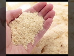 Άμεση πώληση εργοστασίων επιτροπών τοίχων WPC Fluted αλεξίπυρη και υγρασία - απόδειξη