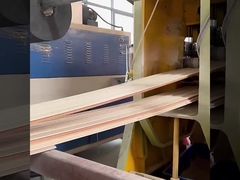 Soundproof αδιάβροχος και υγρασία εργοστασίων επιτροπών τοίχων WPC άμεσοι - απόδειξη